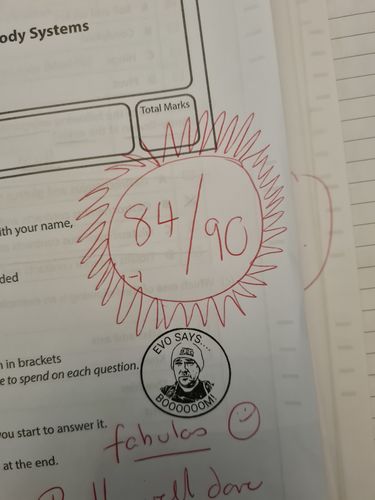 Customer photo review of Self-Inking Face Stamp