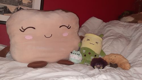 Customer photo review of Coussin Japonais Bubble Tea