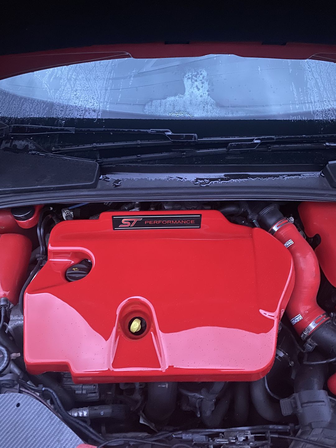 Customer photo review of Proform Engine Cover - MK3.5 Focus ST Diesel (various colours)