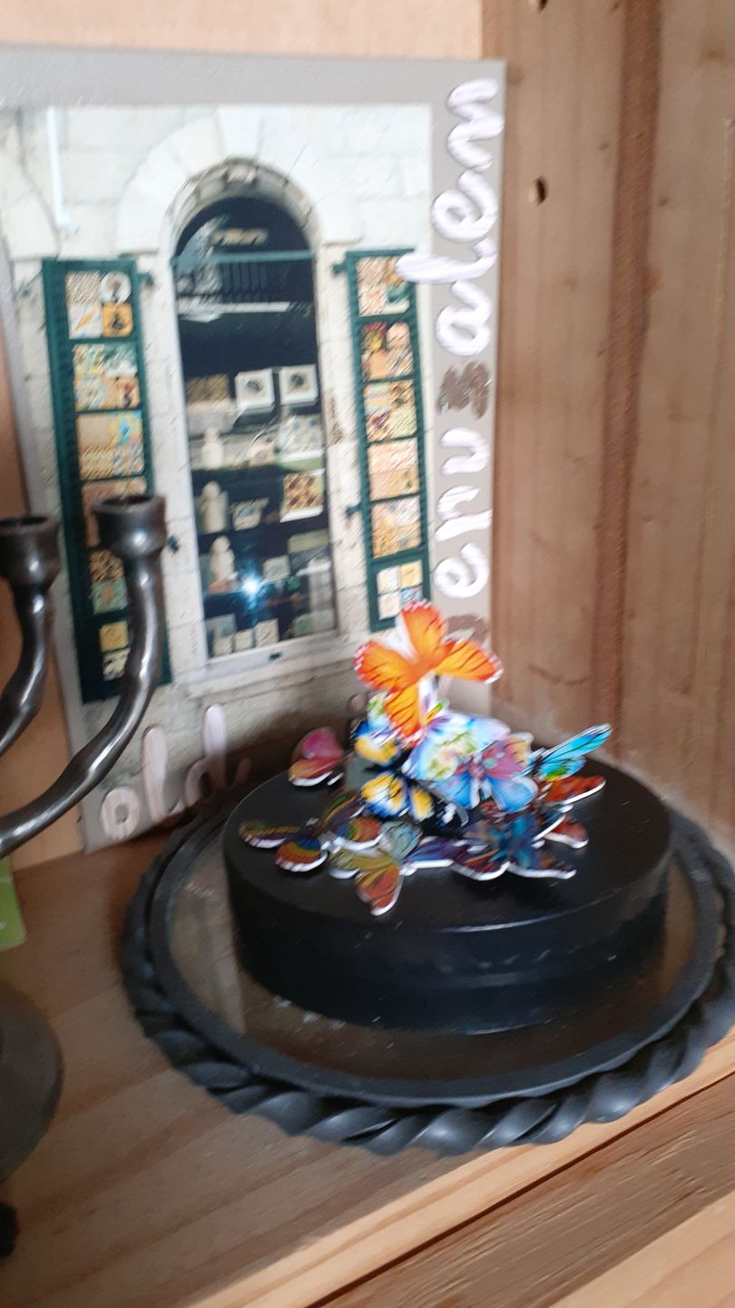 Customer photo review of Magnetic Desk Sculptures - Butterflies