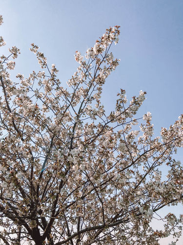 Customer photo review of MERCURY LIGHTROOM PRESETS