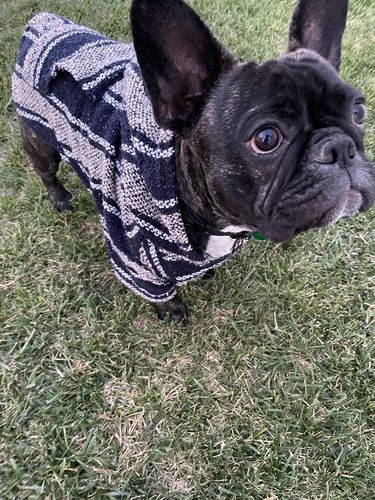 Customer photo review of Playa Poncho