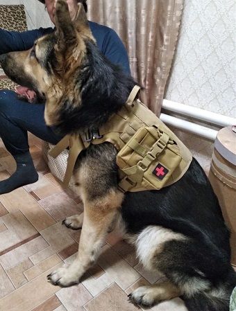 Customer photo review of Harnais chien militaire