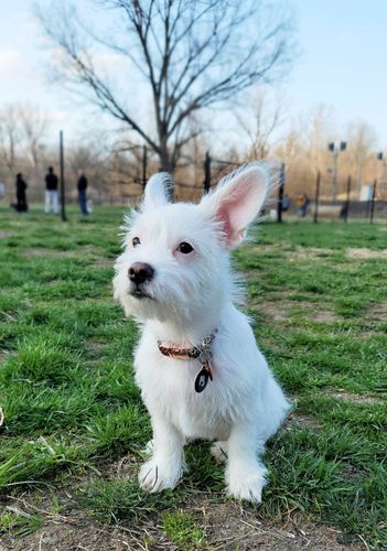 Customer photo review of Black