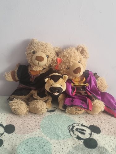 Customer photo review of Woof Woof the Dog