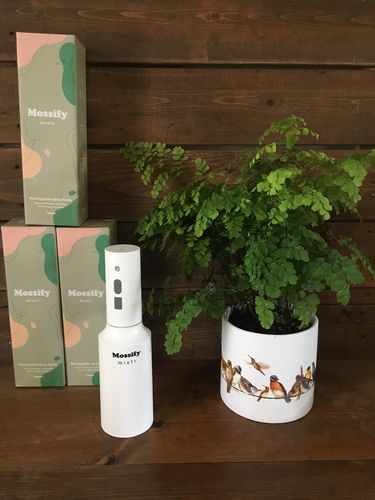 Customer photo of The Original Mossify mistr™ from Kelly W.