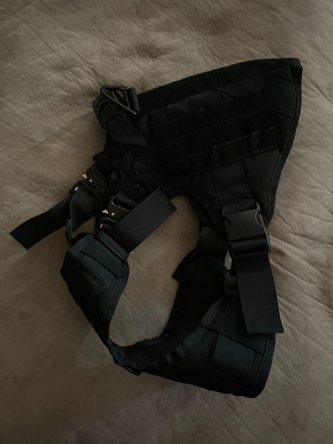 Customer photo review of Harnais chien militaire