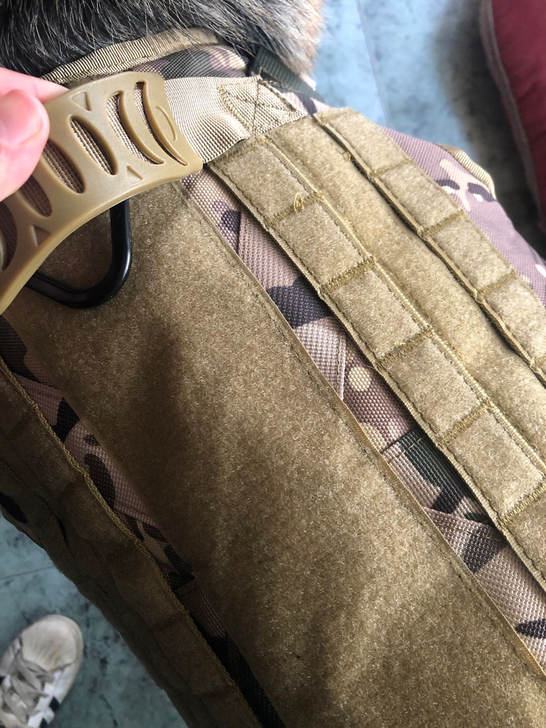 Customer photo review of Harnais chien militaire