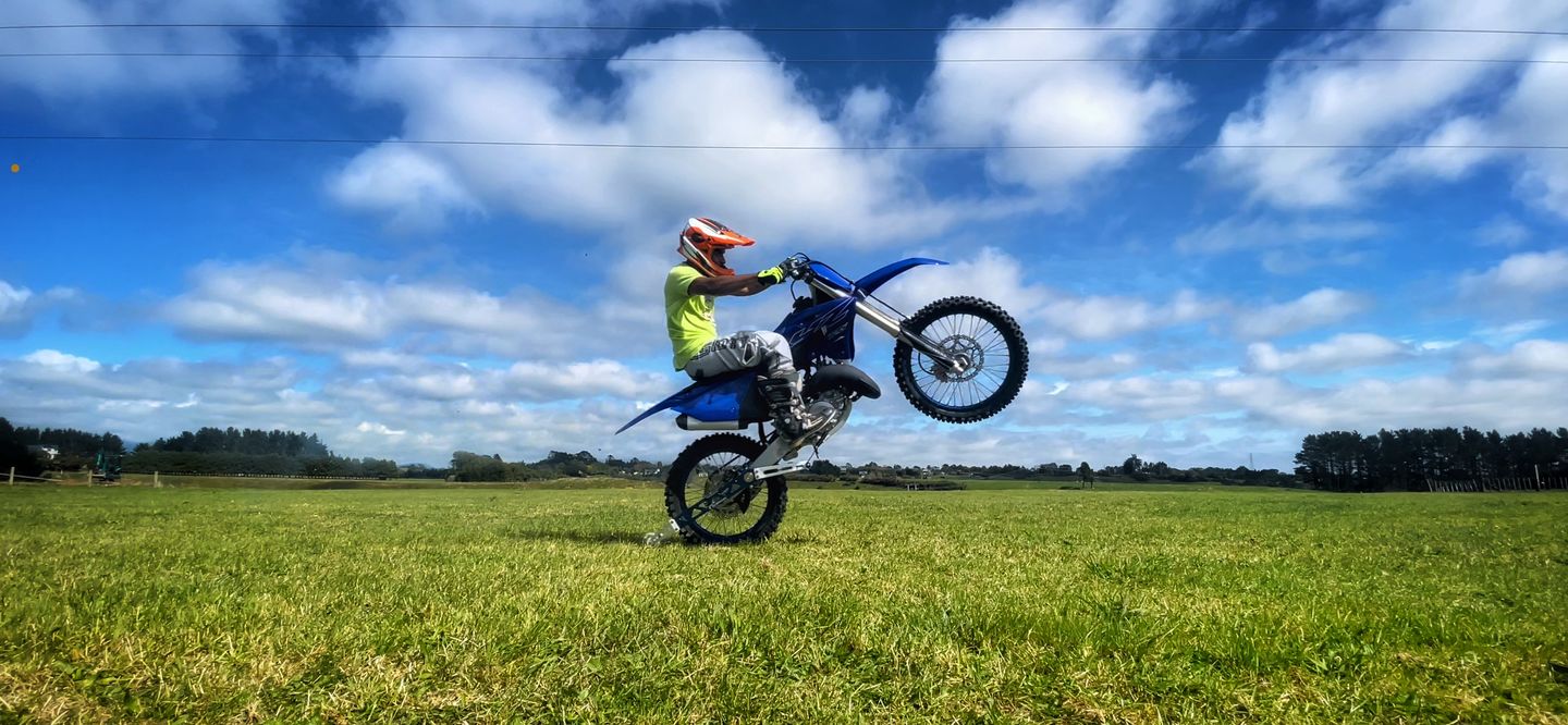 Customer photo review of ABS Wheelie Bar