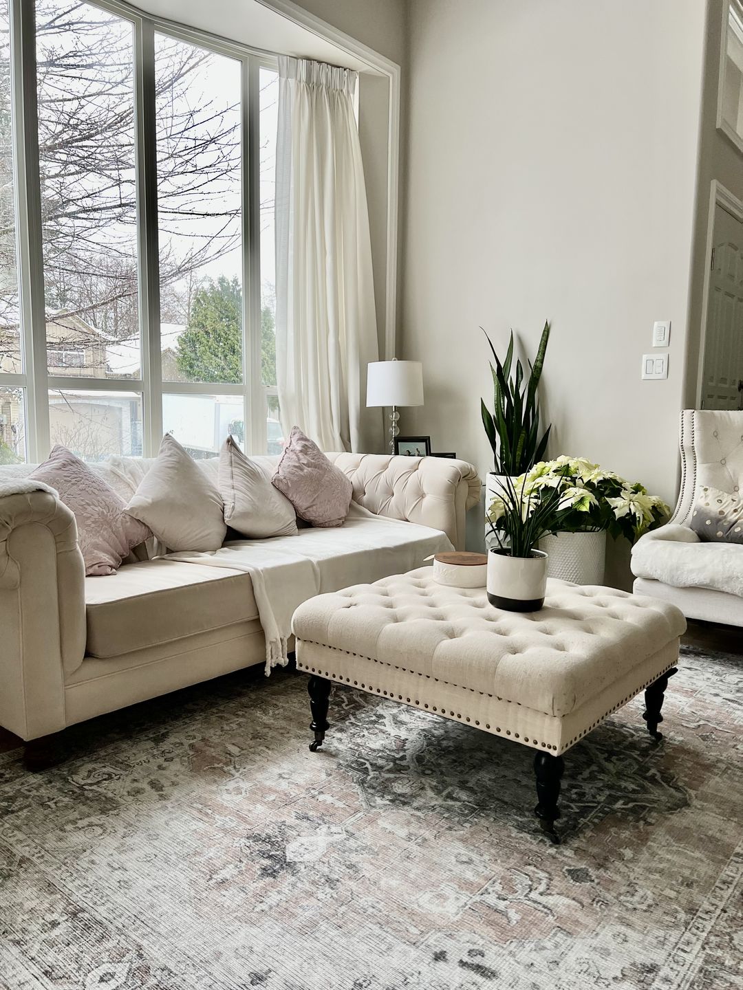 Customer photo review of Distressed Vintage Cezanne Blush Area Rug