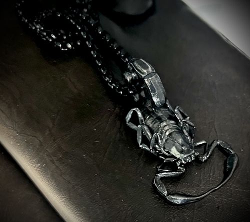 Customer photo review of Scorpion Pendant | 925 Aging Silver