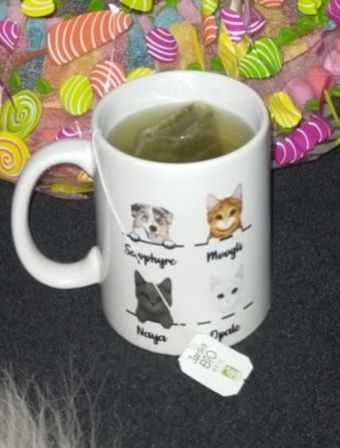 Customer photo review of Mon préféré - Mug personnalisé