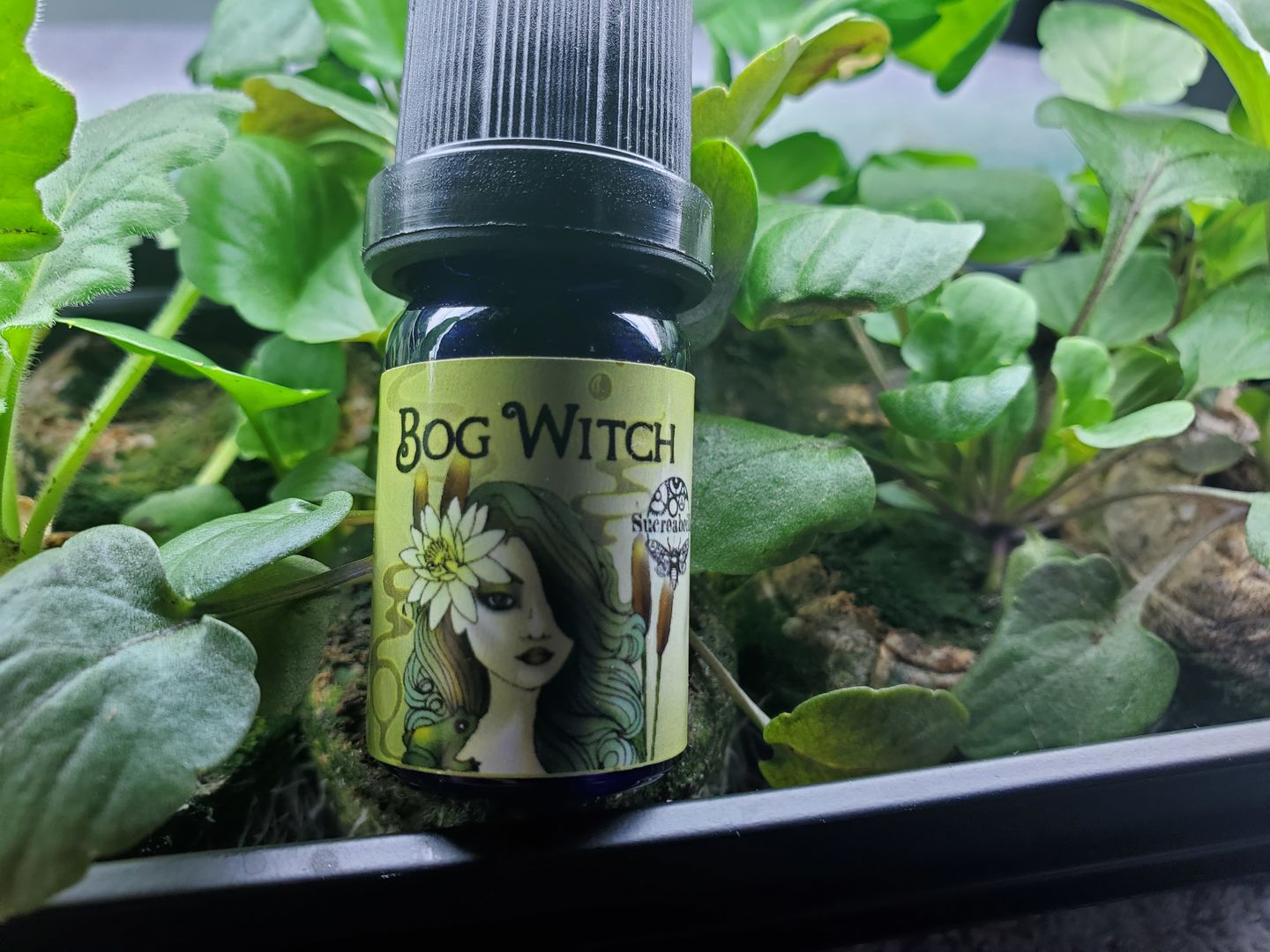 Customer photo review of Bog Witch