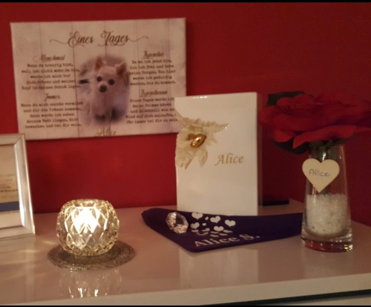 Customer photo review of Eines Tages - Individuelle Leinwand
