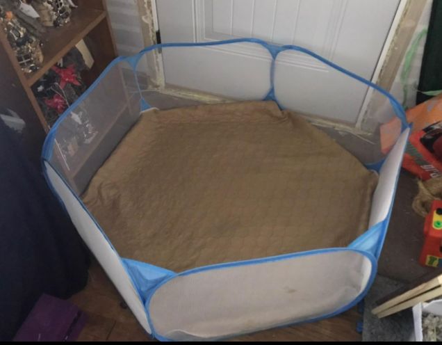 Customer photo review of Reusable Waterproof Pet  Toilet Training Pads