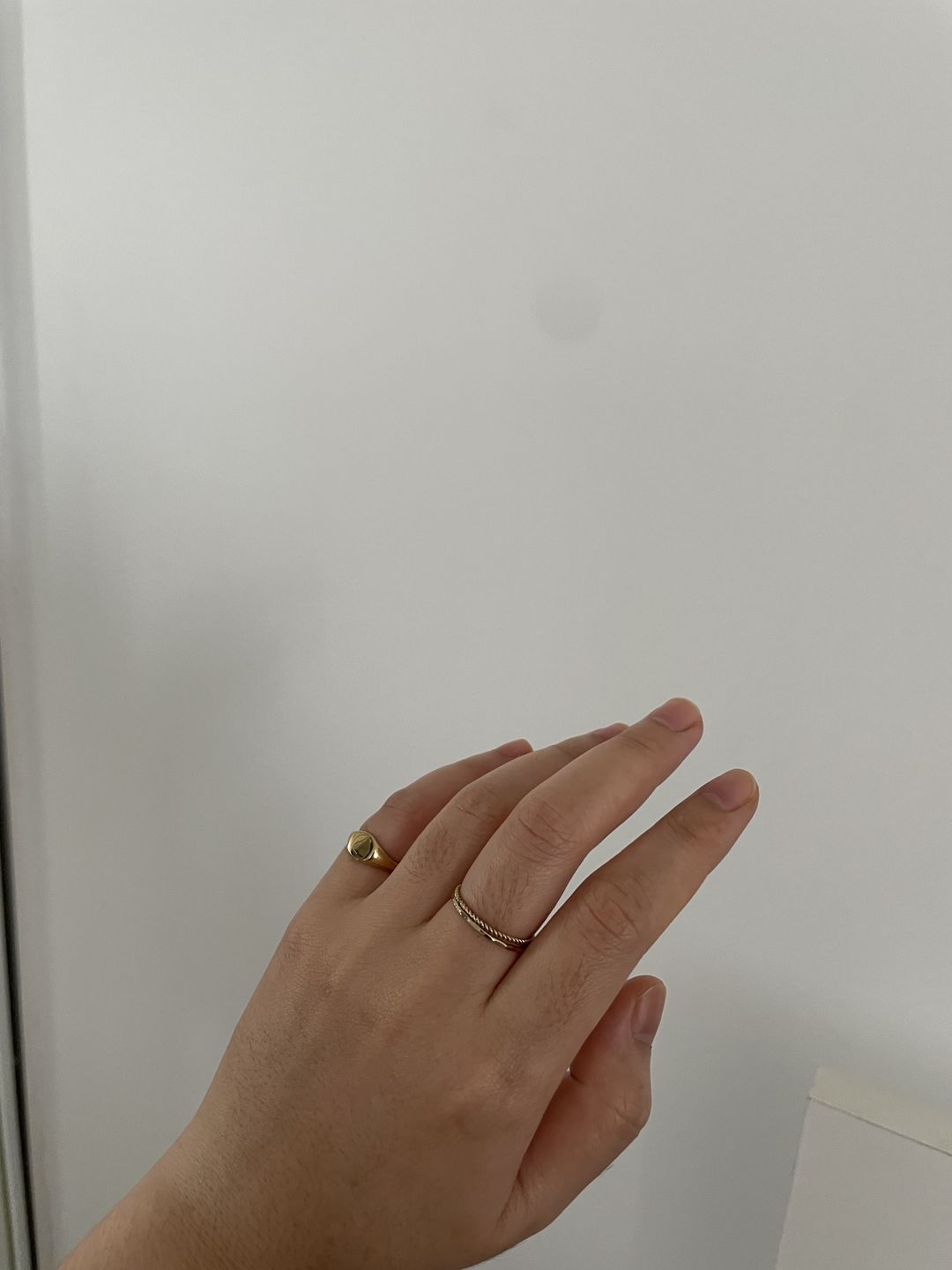 Customer photo review of Pinky Signet Ring
