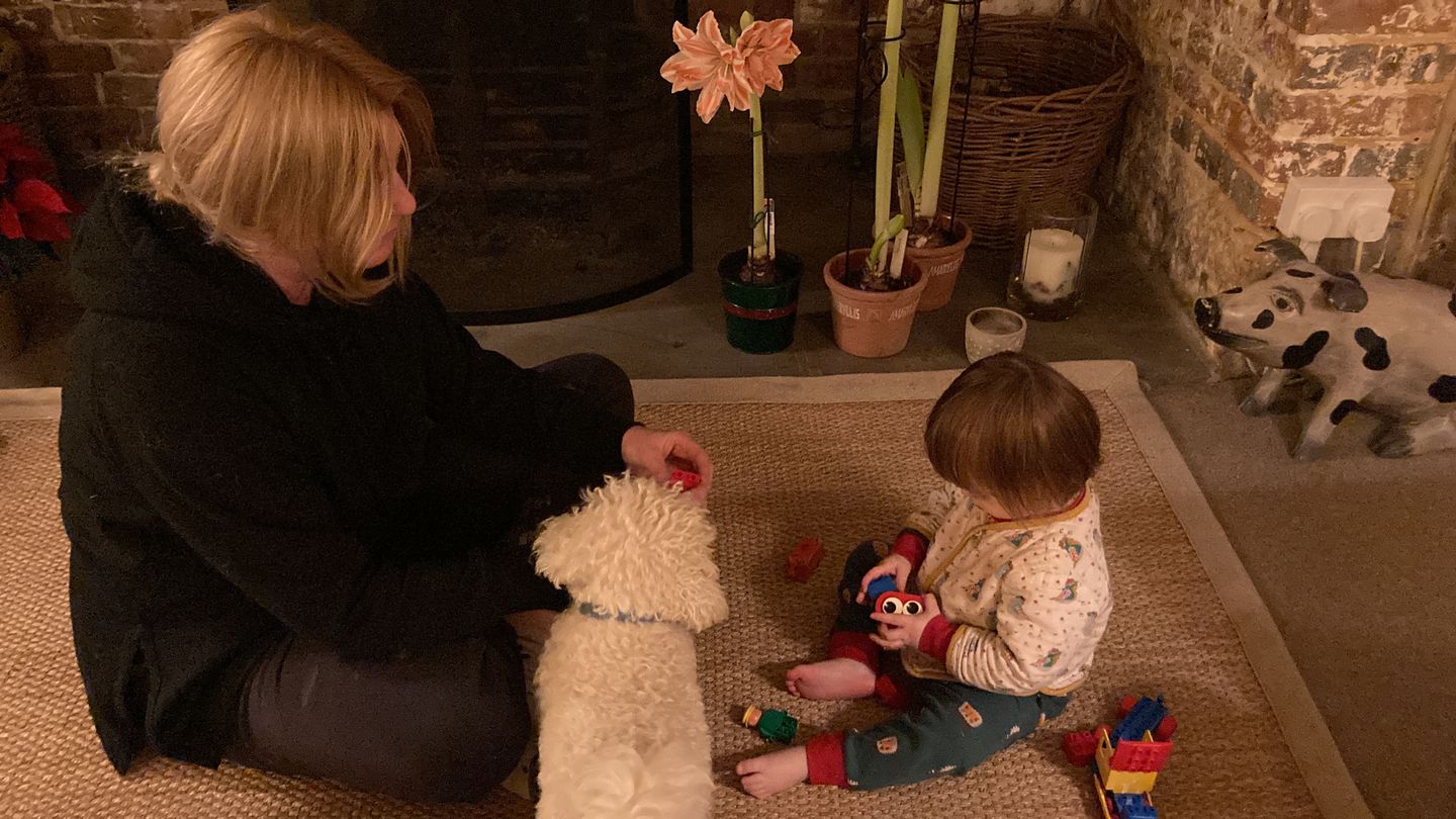 Customer photo review of The Birds Did Sing Reversible Spring Jacket
