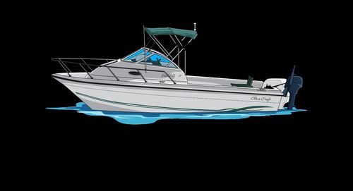 Customer photo review of Custom Digital Boat Artwork