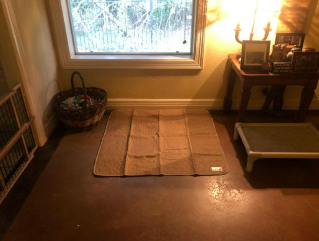 Customer photo review of Reusable Waterproof Pet  Toilet Training Pads
