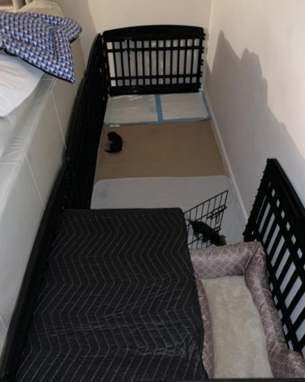 Customer photo review of Reusable Waterproof Pet  Toilet Training Pads