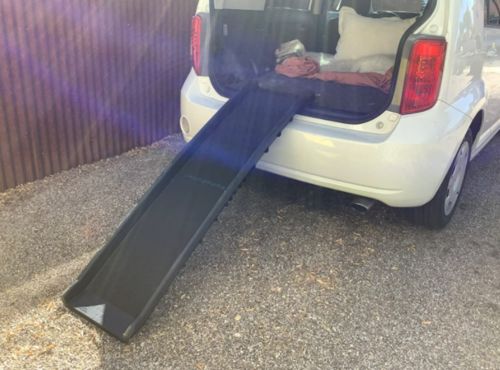 Customer photo review of Pawz Pet Folding Ramp