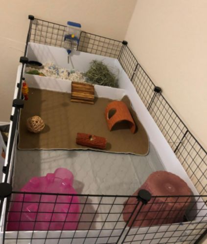 Customer photo review of Reusable Waterproof Pet  Toilet Training Pads