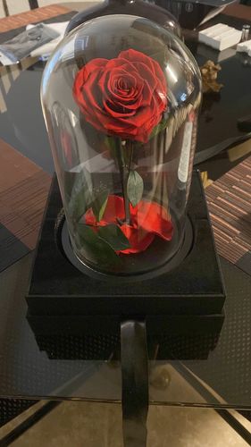 Customer photo review of HEART SHAPE PRESERVED ROSE IN GLASS DOME WITH HEART LOVE NECKLACE