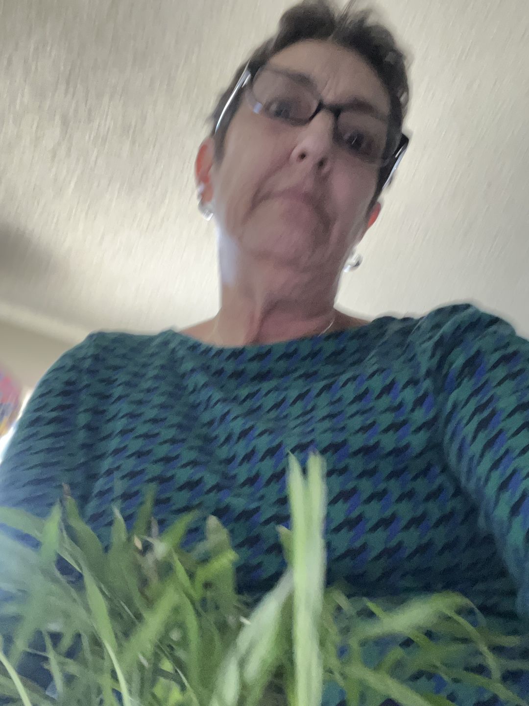 Customer photo review of Ancient Earth