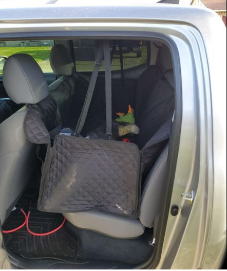 Customer photo review of Pawz Back Seat Cover