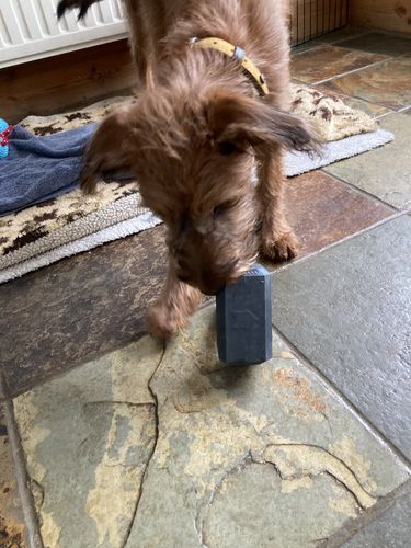 Customer photo review of The Fenrir Hammer