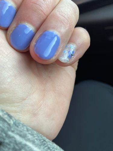 Customer photo review of Gel Polish Studios Didier brave 8ml