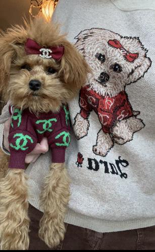 Customer photo review of Full-Body Pet Custom Sweater