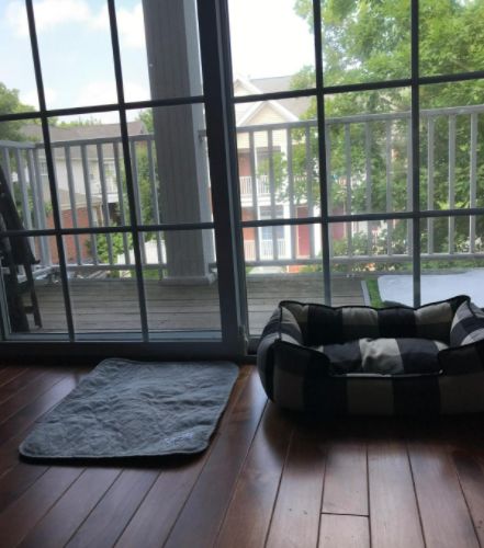 Customer photo review of Reusable Waterproof Pet  Toilet Training Pads