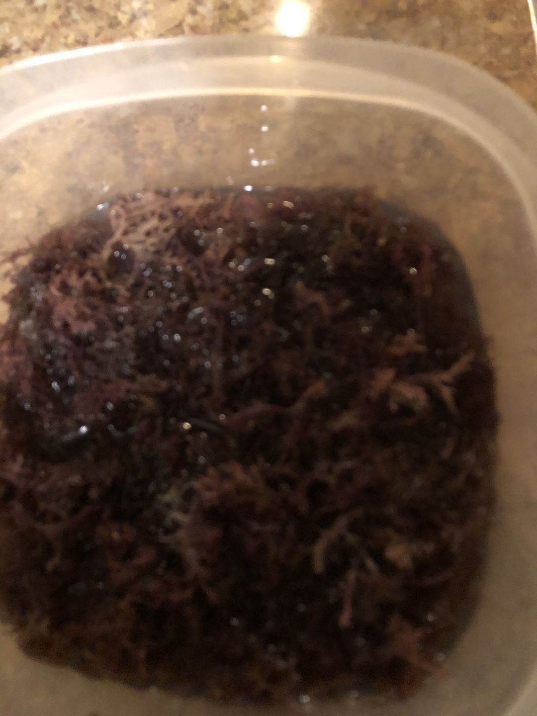 Customer photo review of Jamaican Purple Sea Moss (Raw, Wildcrafted)