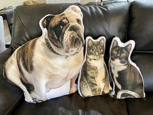 Customer photo review of Create A Custom Cat Pillow