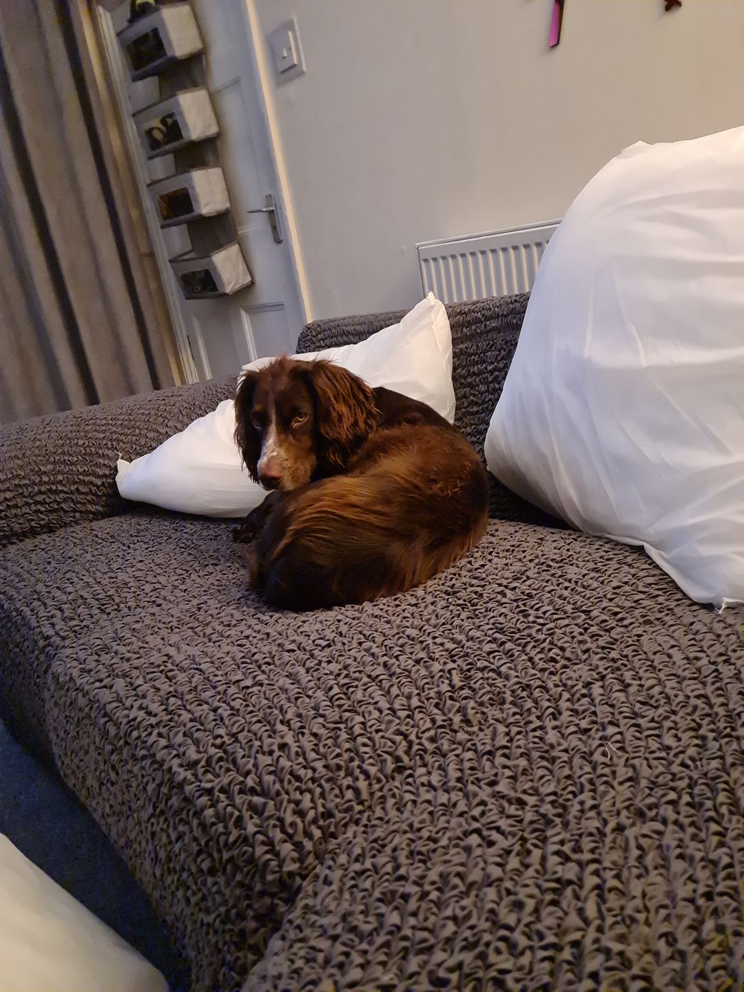 Customer photo review of Corner Sofa Cover - Charcoal, Microfibra