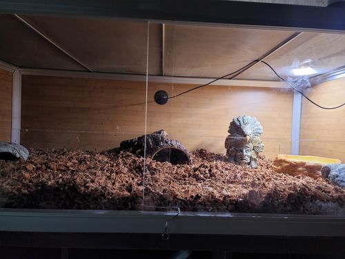 Customer photo review of 48"x24"x16" PVC Panel Reptile Enclosure by Zen Habitats