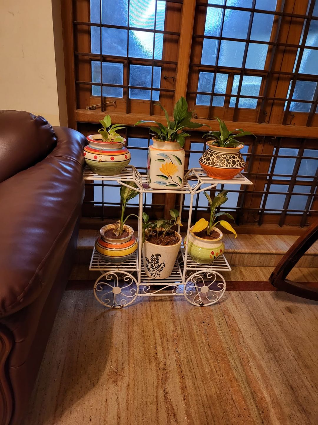 Customer photo review of 6-Tier Cart Planter Stand, Outdoor Flower Rack