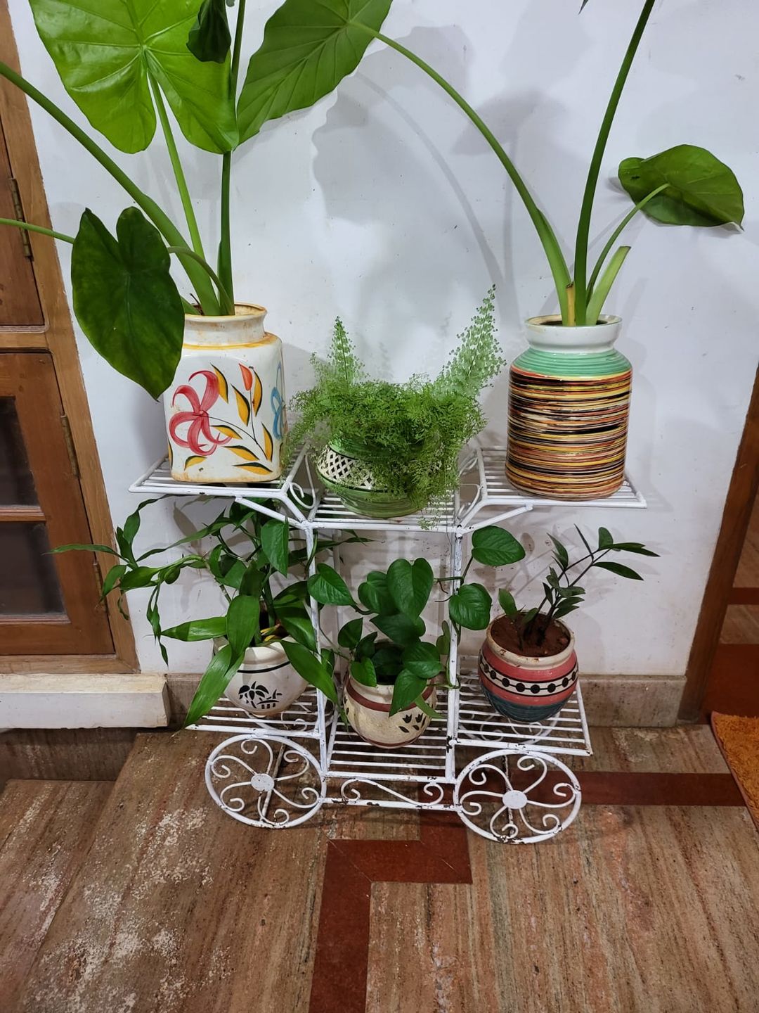 Customer photo review of 6-Tier Cart Planter Stand, Outdoor Flower Rack