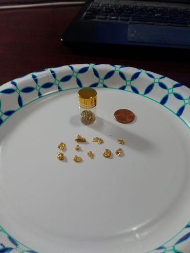 Customer photo review of 25 Lb. JACKPOT PAYDIRT™ Gold Paydirt Unsearched