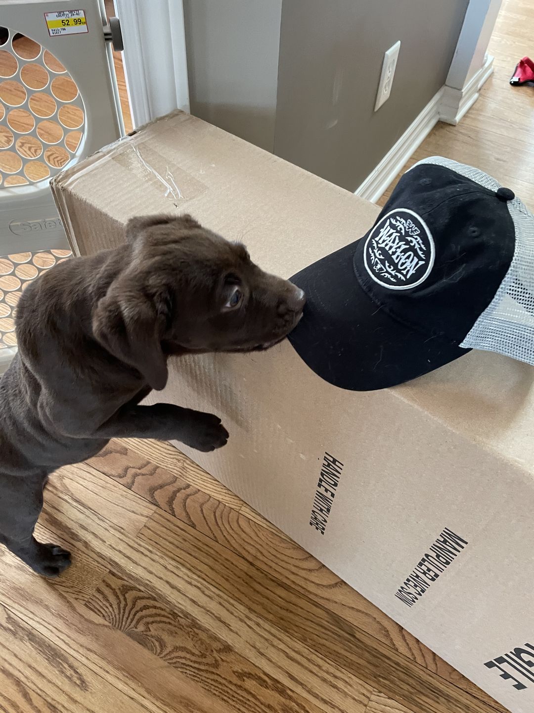 Customer photo review of Waylon Jennings Flying W Oval Logo Trucker Hat