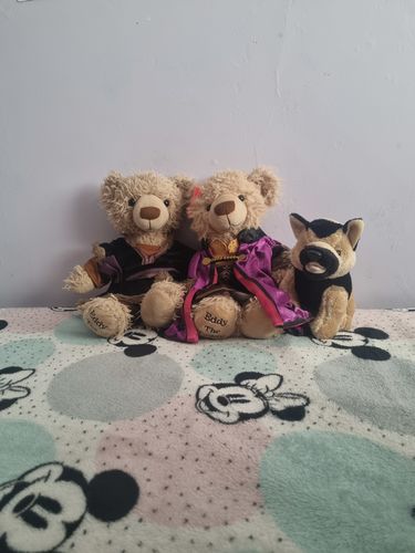 Customer photo review of Woof Woof the Dog