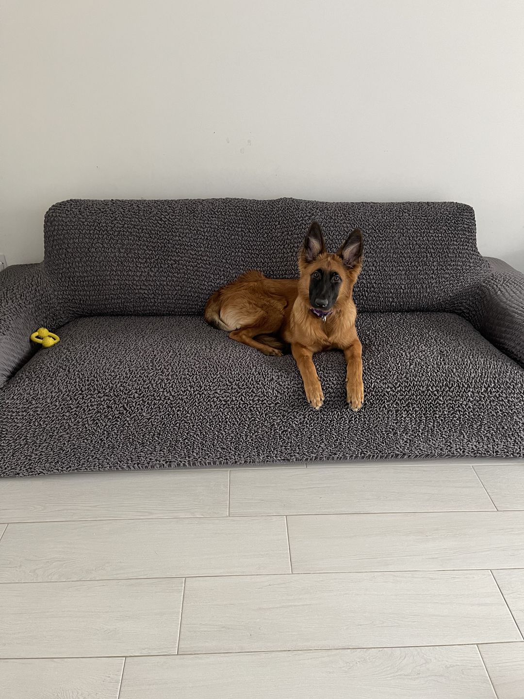 Customer photo review of 3 Seater Sofa Cover - Charcoal, Microfibra