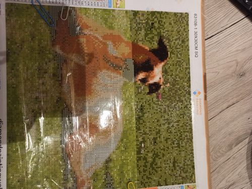 Kundenbewertung mit Foto zu Eigenes Foto / Eigenes Design Diamond Painting