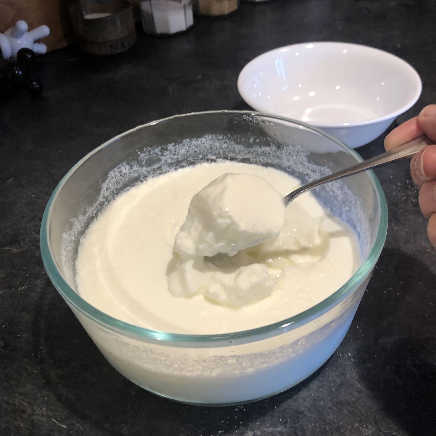 Customer photo review of Indian Style Yogurt (Dahi) Culture - YO-MIX 900 LYO 50 DCU
