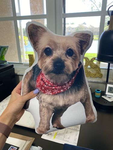 Customer photo review of Create A Custom Dog Pillow