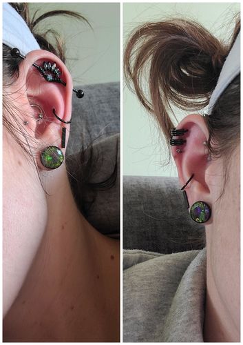 Customer photo review of Hinged Clicker Segment Ring Daith, Conch, Nose, Septum