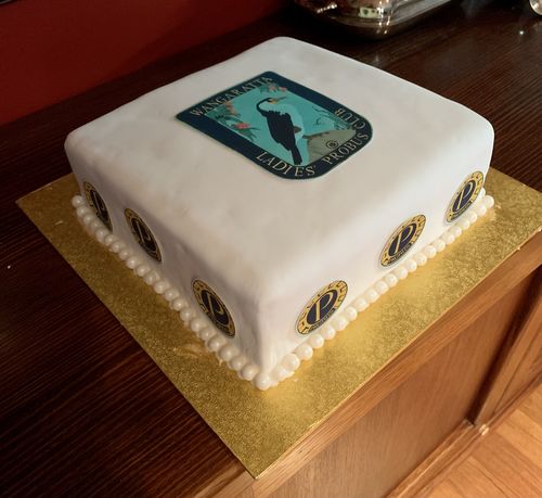 Customer photo review of 20 cm Pre-cut Circle Custom Edible Icing Image