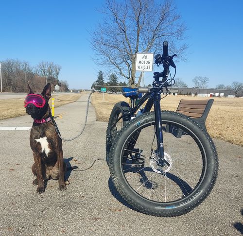 Customer photo review of Minnesota LTD Fat Bike 27.5"