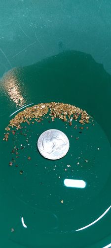 Customer photo review of Goldn Paydirt '10 TROY OUNCE GOLD RUSH' - Gold Panning Paydirt